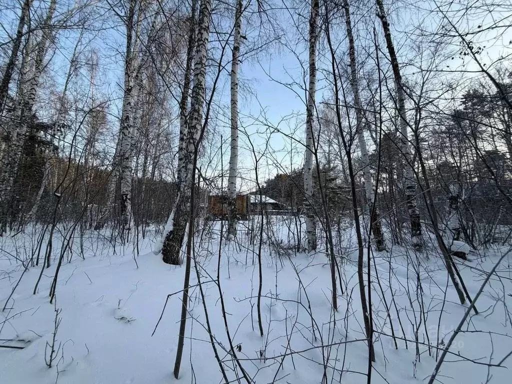 Участок в Свердловская область, Екатеринбург пос. Калиновка, 9 (8.6 ... - Фото 2