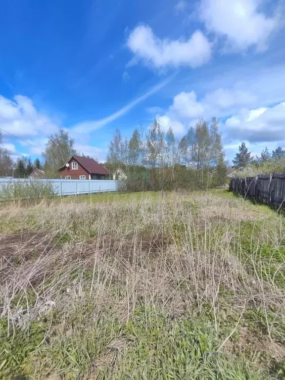 Участок в Московская область, Пушкинский городской округ, Простор ... - Фото 1