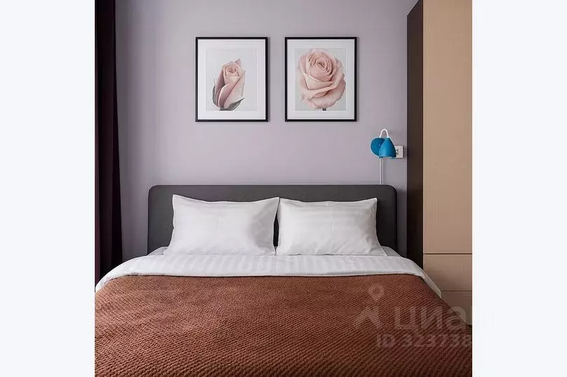 1-к кв. Москва Волоколамское ш., 24к1 (21.0 м) - Фото 2