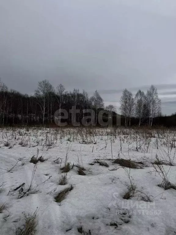 Участок в Красноярский край, Красноярск городской округ, пос. Элита ... - Фото 1