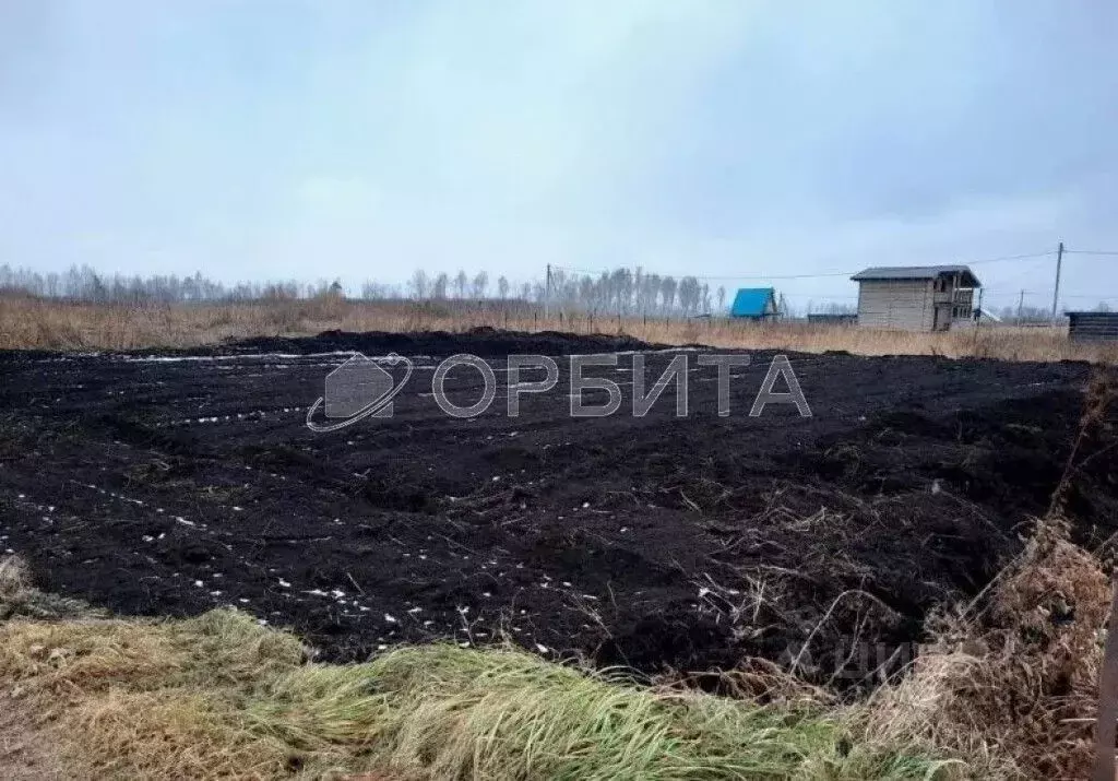 Участок в Тюменская область, Тюмень Царево садовое товарищество, ул. ... - Фото 1