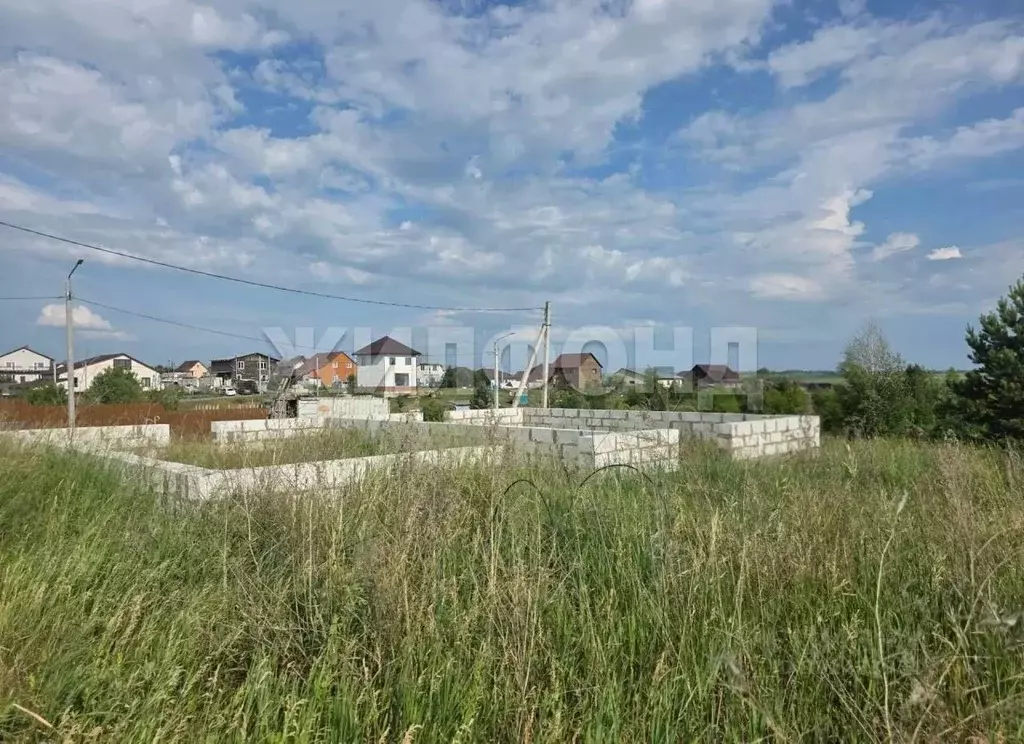 Участок в Алтайский край, Барнаул городской округ, пос. Научный ... - Фото 1