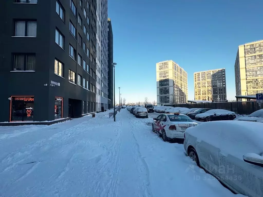 Помещение свободного назначения в Санкт-Петербург пос. Парголово, ул. ... - Фото 1