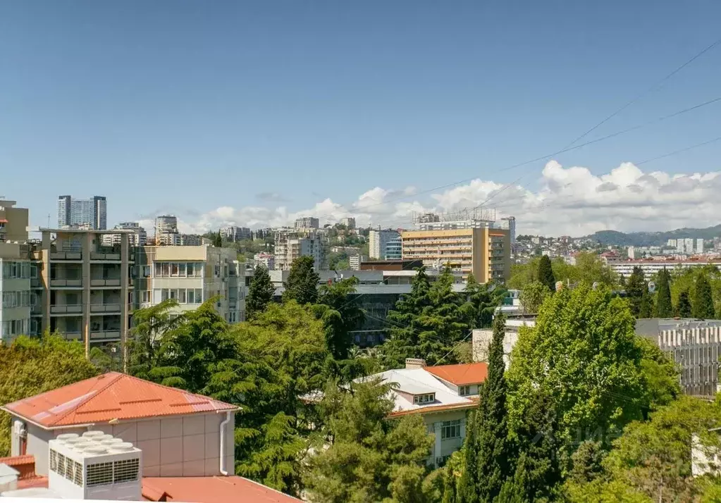 1-к кв. Краснодарский край, Сочи Центральный мкр, ул. Горького, 39 ... - Фото 2