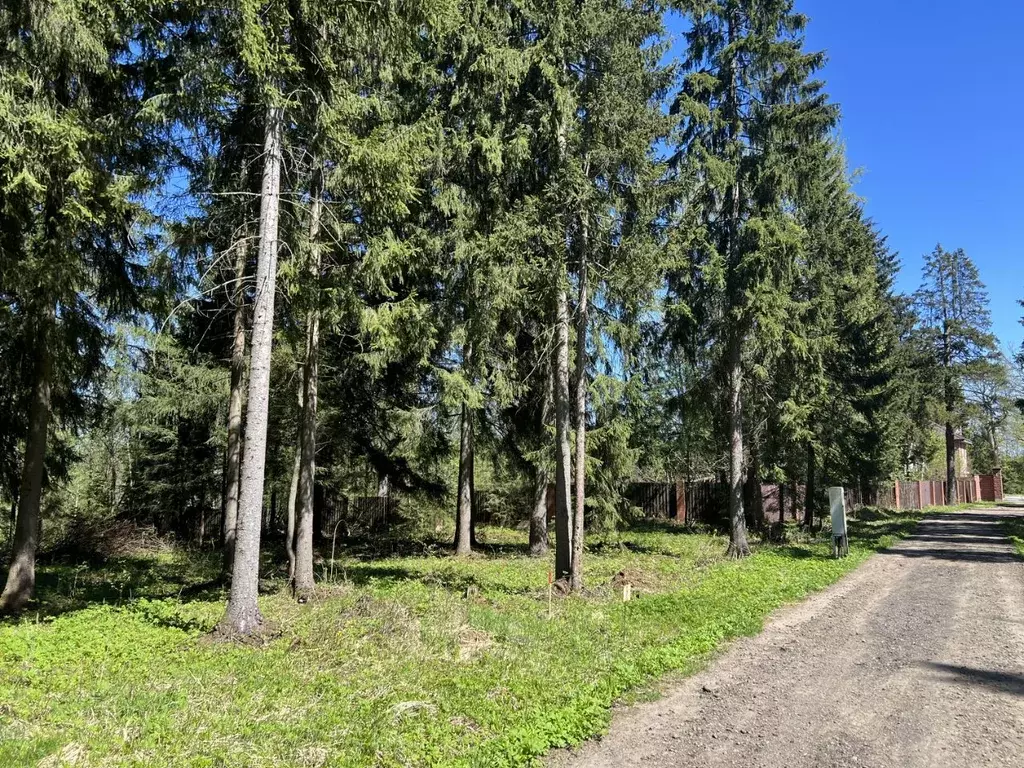 Участок в Московская область, Дмитровский муниципальный округ, д. ... - Фото 1