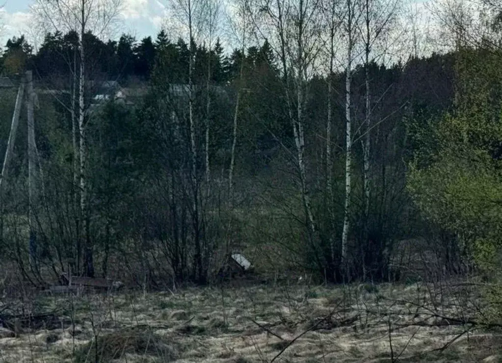 Участок в Московская область, Солнечногорск городской округ, д. ... - Фото 0