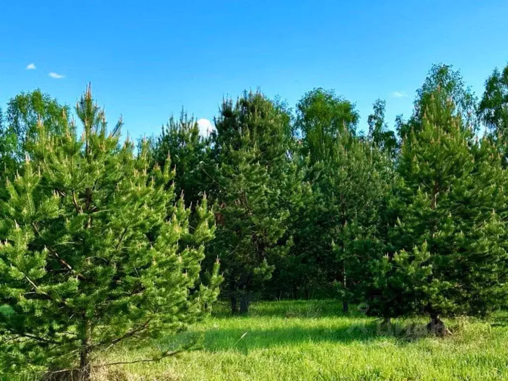 Участок в Московская область, Ступино городской округ, Кедровый парк ... - Фото 0