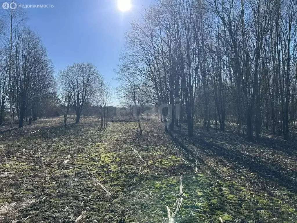 Участок в Ярославская область, Рыбинский муниципальный округ, деревня ... - Фото 1