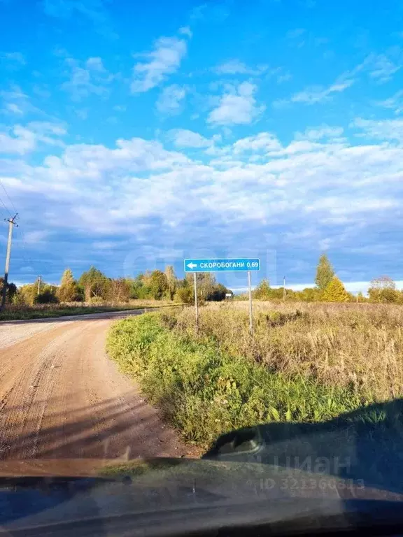 Участок в Псковская область, Палкинский район, Новоуситовская волость, ... - Фото 1