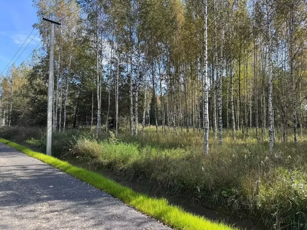 Участок в Ленинградская область, Всеволожский район, Колтушское ... - Фото 2