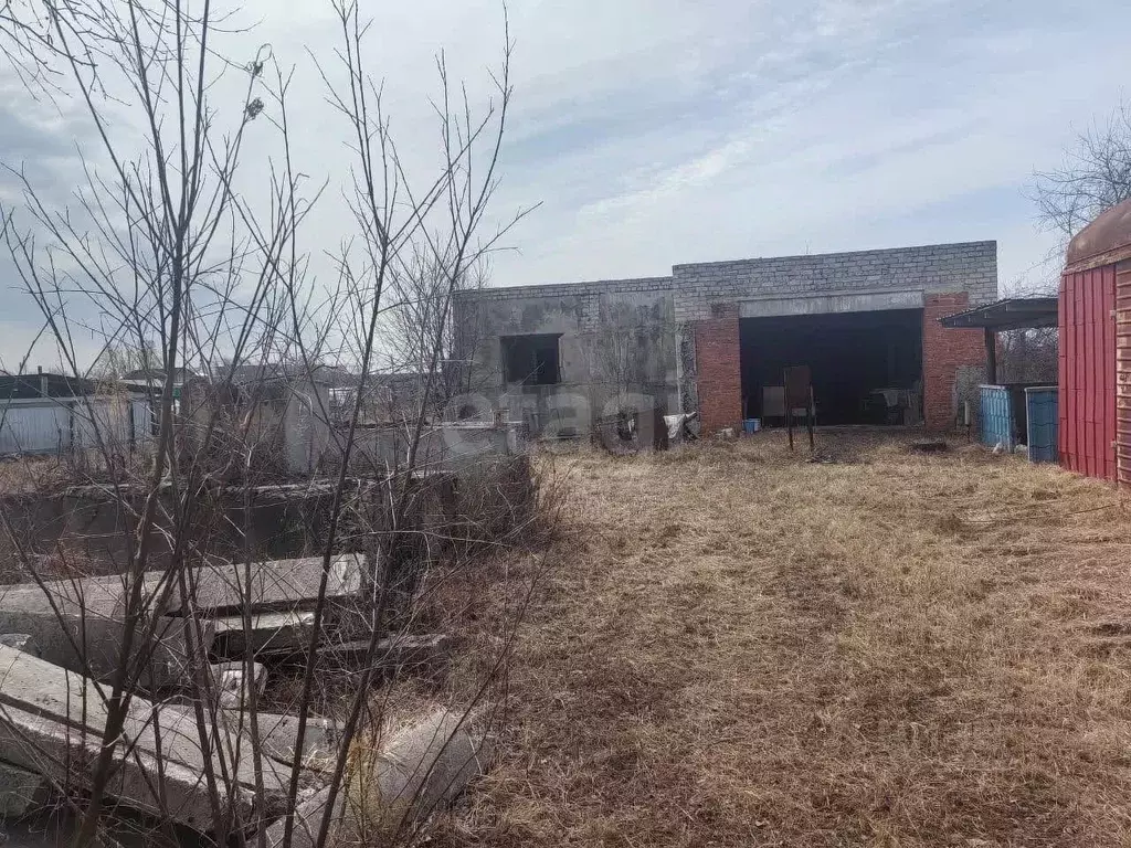 Участок в Амурская область, Белогорск Поселок остров, ул. 1-я ... - Фото 2