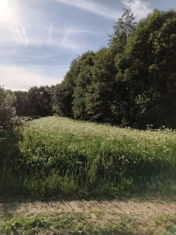 Участок в Новгородская область, Маловишерское городское поселение, д. ... - Фото 1