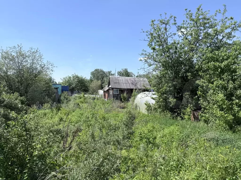Участок 4 сот. (СНТ, ДНП) - Фото 1