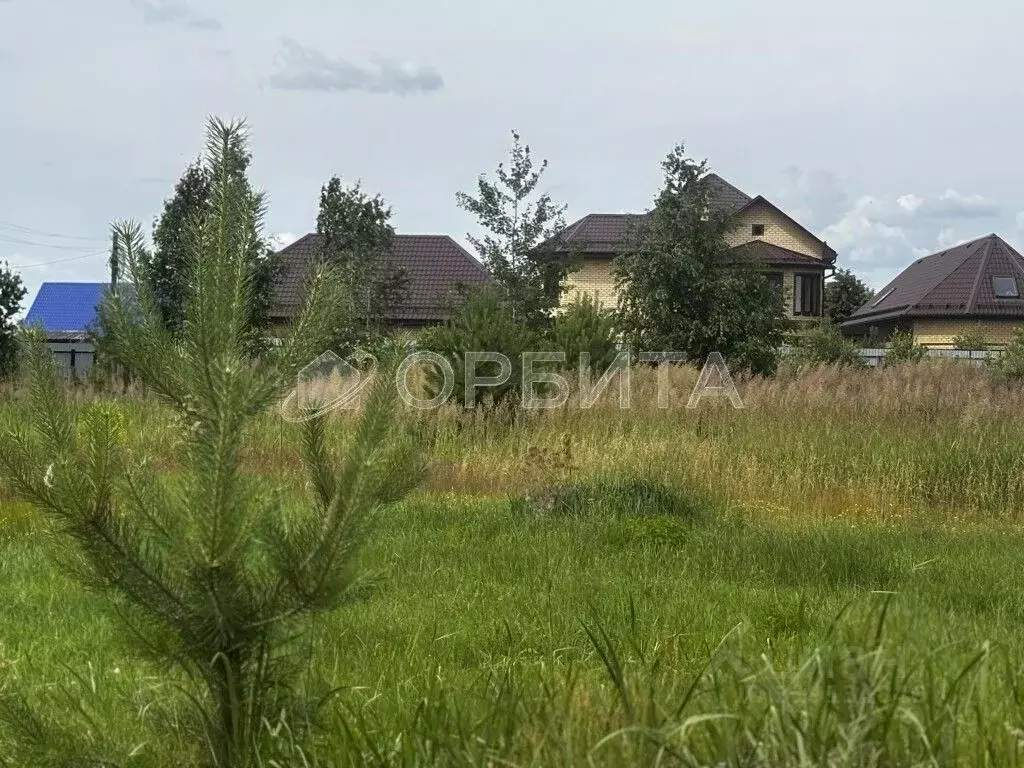 Участок в Тюменская область, Тюменский район, пос. Андреевский  (6.0 ... - Фото 0