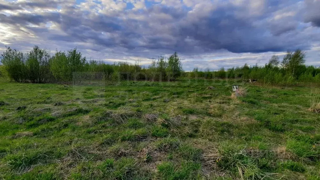 Участок в Новгородская область, Новгородский район, Ракомское с/пос, ... - Фото 1