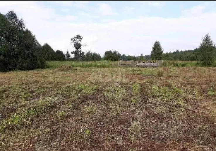 Участок в Ярославская область, Угличский муниципальный округ, д. ... - Фото 1