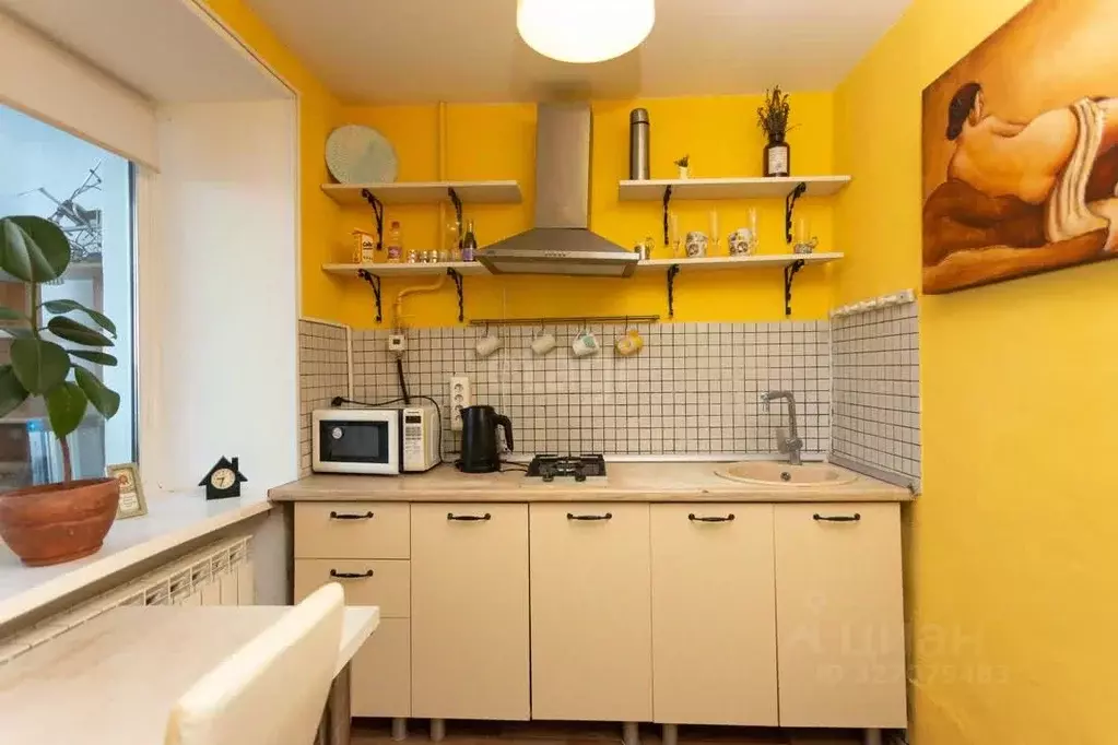 1-к кв. Хабаровский край, Хабаровский район, с. Рощино Майская ул., 1 ... - Фото 2