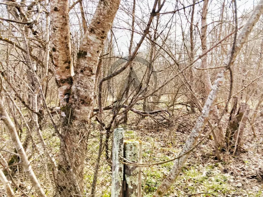 Дом в Краснодарский край, Апшеронский район, Нижегородское с/пос, ... - Фото 2