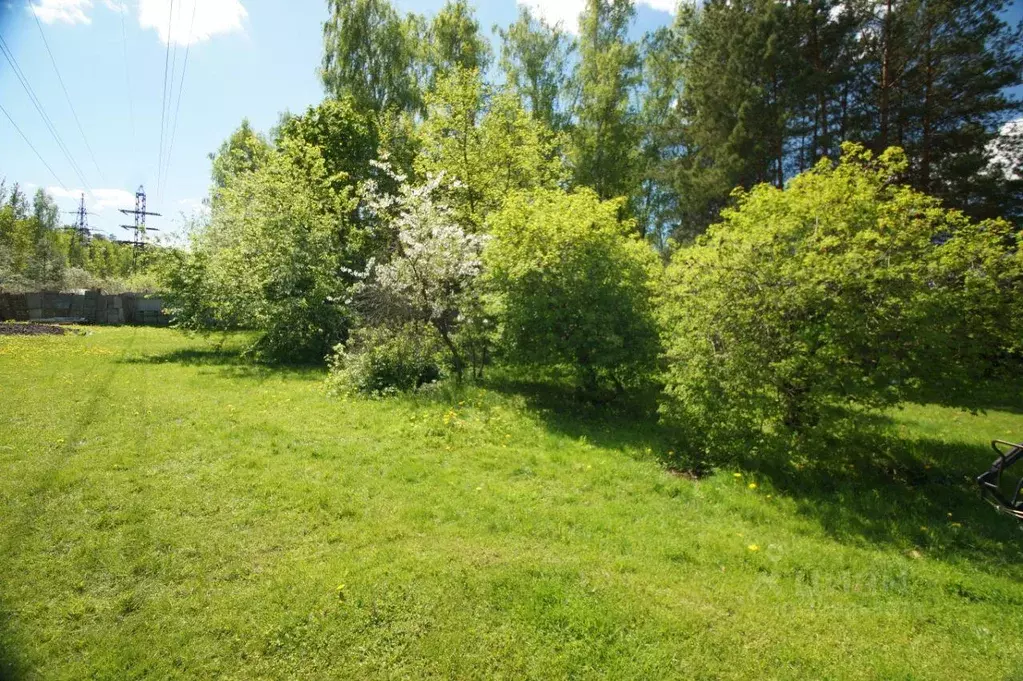 Участок, 6 сот., сельхоз (снт или днп) - Фото 1