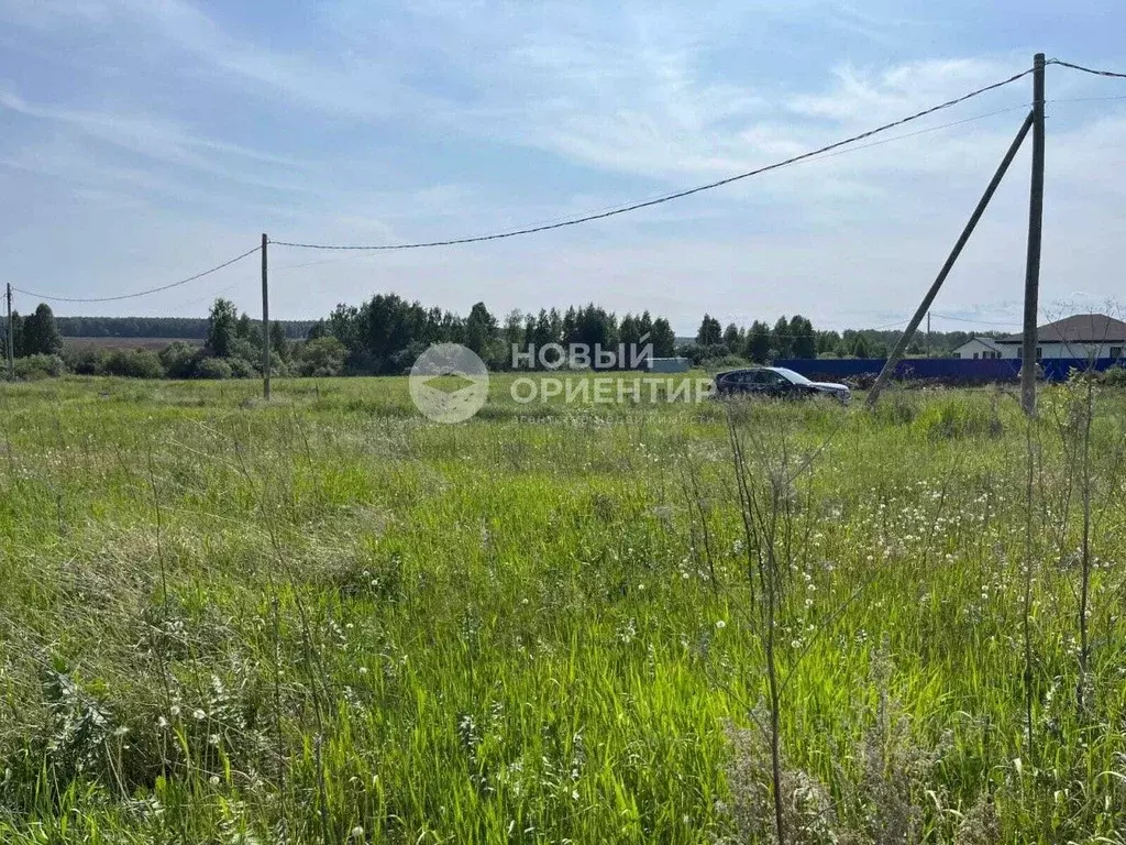 Участок в Свердловская область, Белоярский муниципальный округ, д. ... - Фото 2