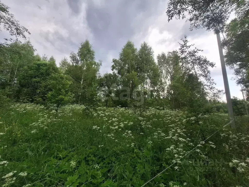 Участок в Владимирская область, Петушинский муниципальный округ, д. ... - Фото 1