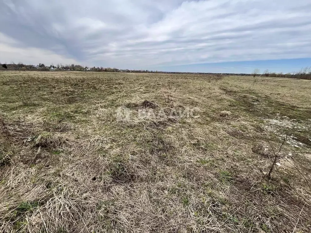 Участок в Московская область, Волоколамский городской округ, д. ... - Фото 1