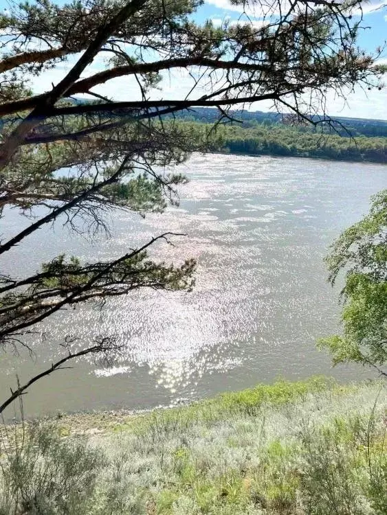 Участок в Кемеровская область, Кемеровский район, с. Силино  (9.0 ... - Фото 1