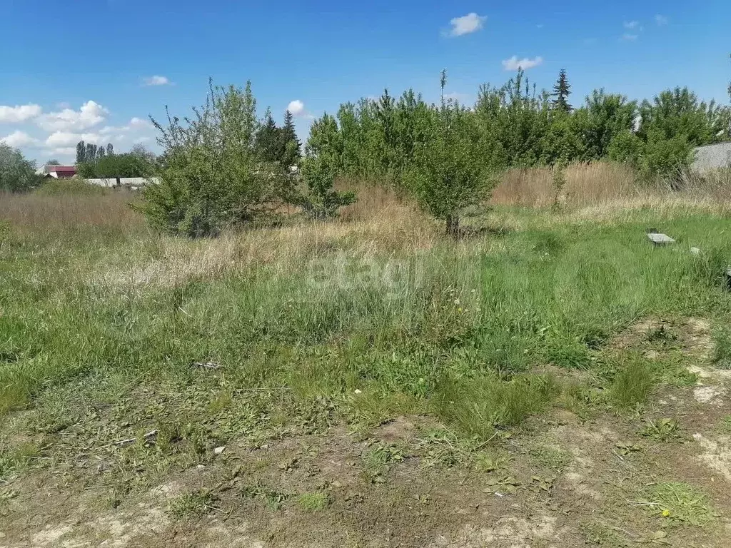 Участок 11,2 сот. (ИЖС) - Фото 1