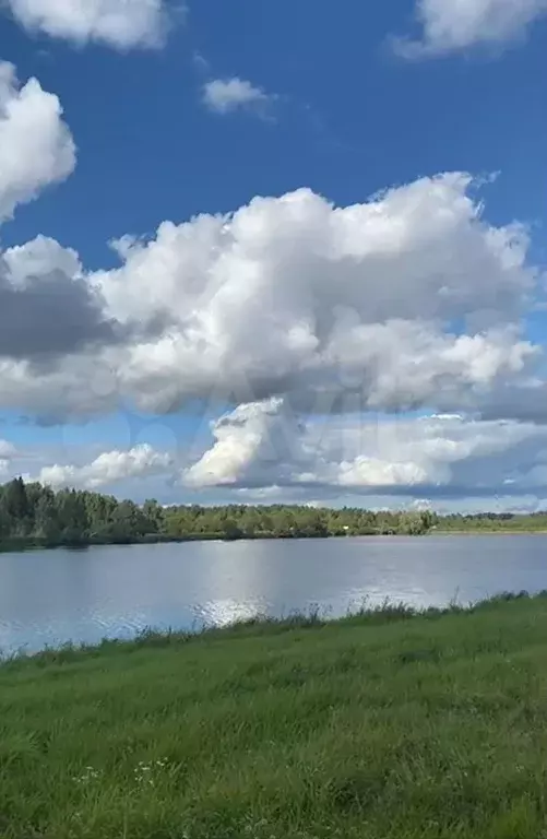 Участок 12 сот. (СНТ, ДНП) - Фото 0