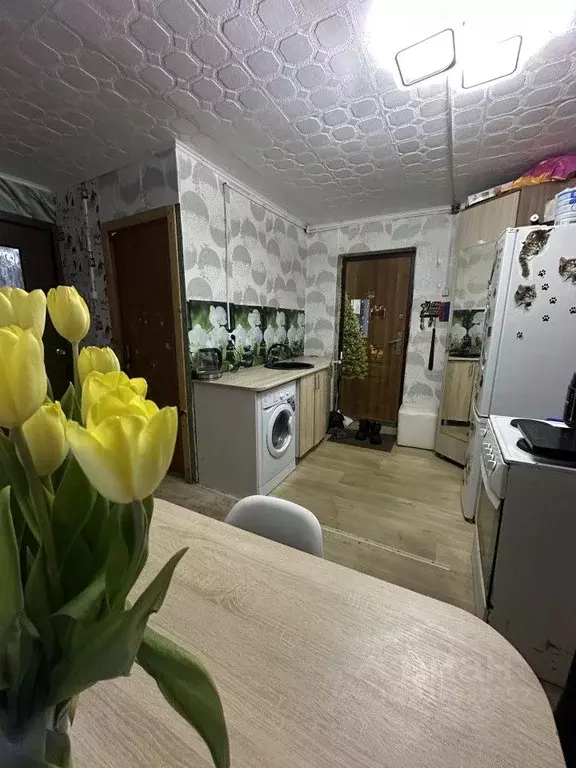 1-к кв. Пермский край, Чайковский Вокзальная ул., 1/5 (27.5 м) - Фото 1