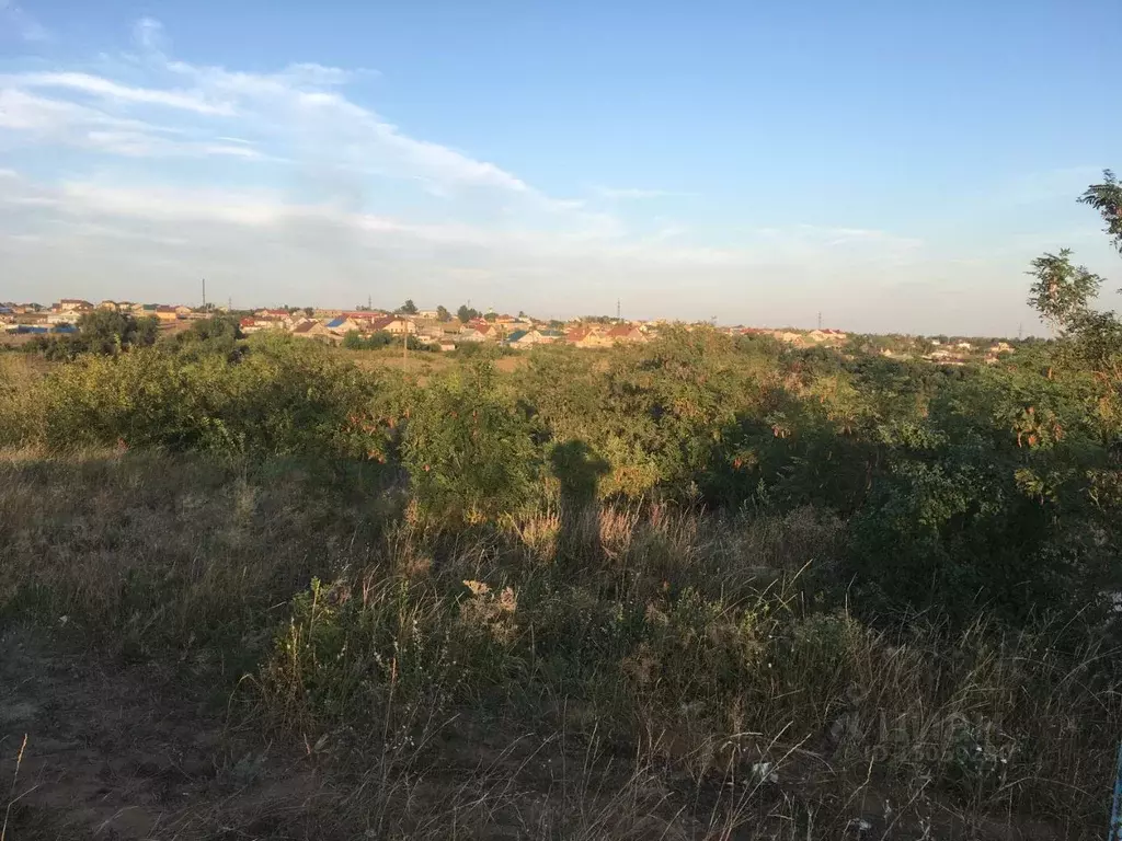 Участок в Волгоградская область, Городищенский район, Царицынское ... - Фото 0