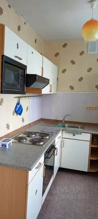 3-к кв. Самарская область, Жигулевск пос. Яблоневый Овраг, ул. ... - Фото 2