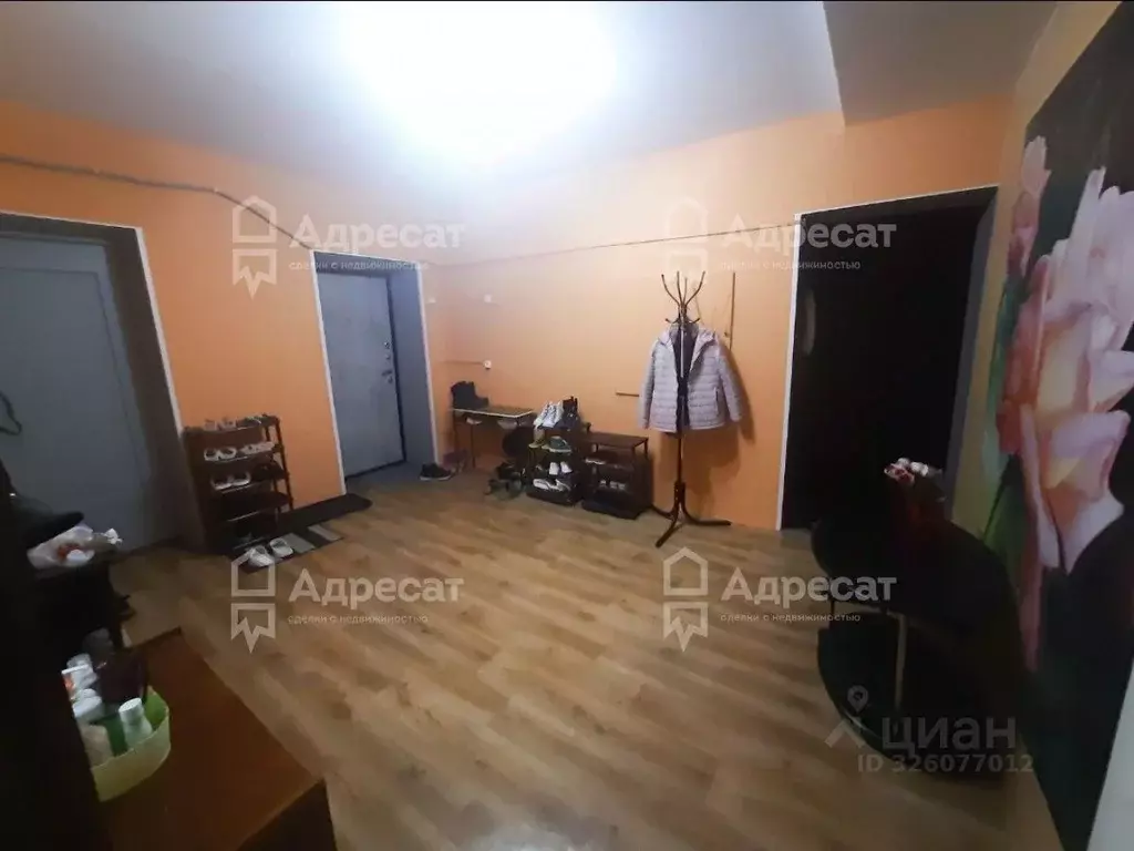 Комната Волгоградская область, Волгоград ул. Жолудева, 12 (16.4 м) - Фото 2