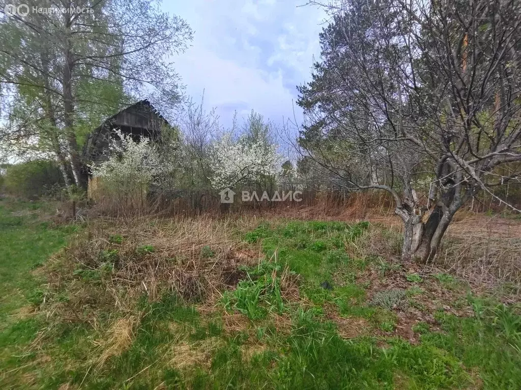 Участок в Пенза, СДТ Домостроитель (11 м) - Фото 0