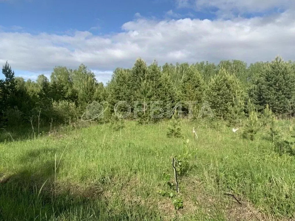 Участок в Тюменская область, Нижнетавдинский район, с. Тюнево  (11.0 ... - Фото 1