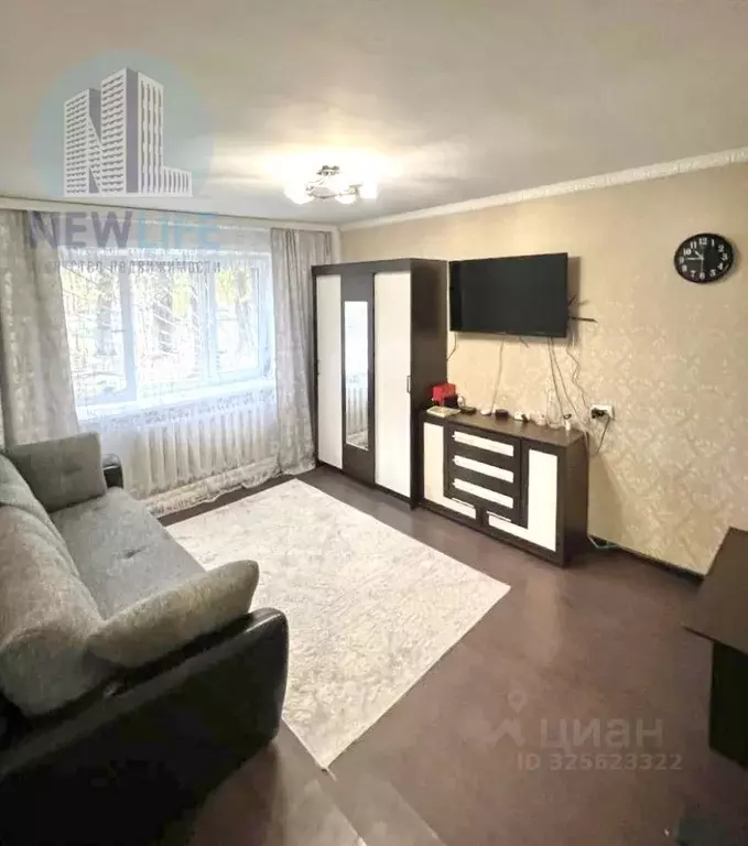 Студия Московская область, Жуковский ул. Мичурина, 4А (25.4 м) - Фото 1