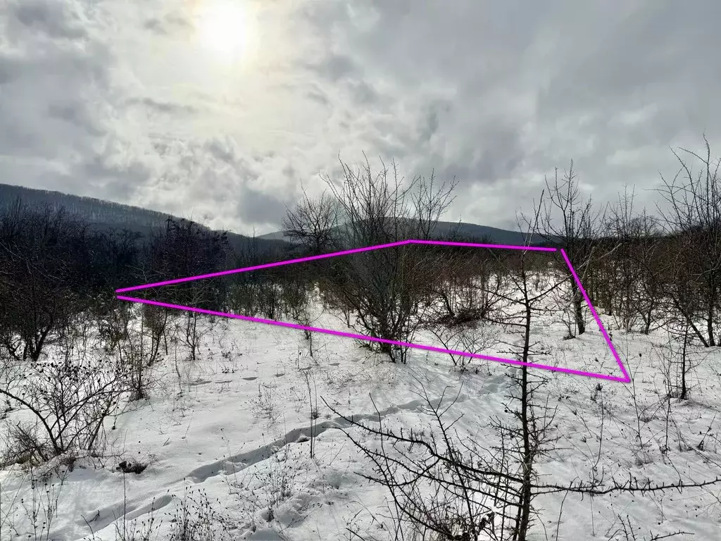 Участок в Крым, Кировский район, Старый Крым городское поселение пл. ... - Фото 1