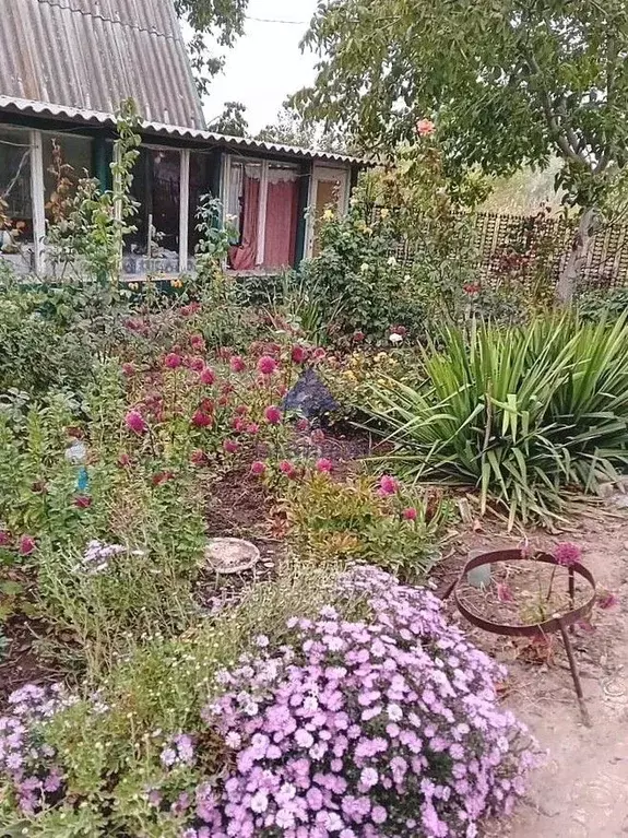 Дом в Ростовская область, Волгодонск Мичуринец СНТ, 1858 (30 м) - Фото 2