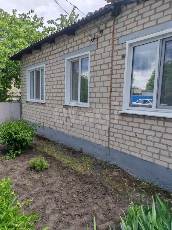 Дом в Белгородская область, Вейделевский район, с. Малакеево ул. Мира, ... - Фото 1