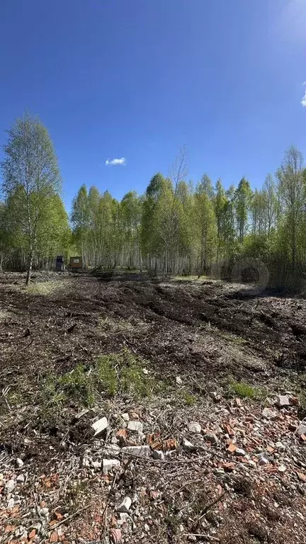 Участок 10 сот. (СНТ, ДНП) - Фото 1