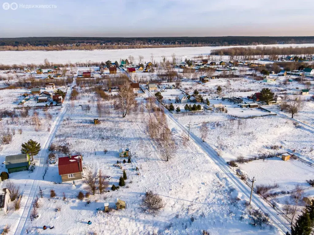 Участок в Колыванский район, СНТ Ежевичка (6 м) - Фото 1