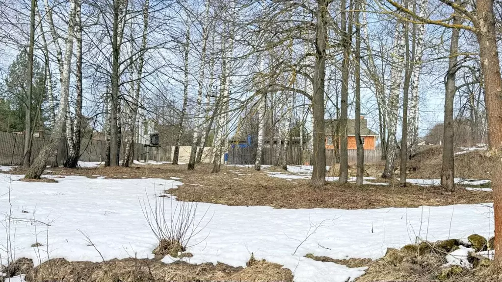 Участок в Московская область, Домодедово городской округ, д. Чурилково ... - Фото 2