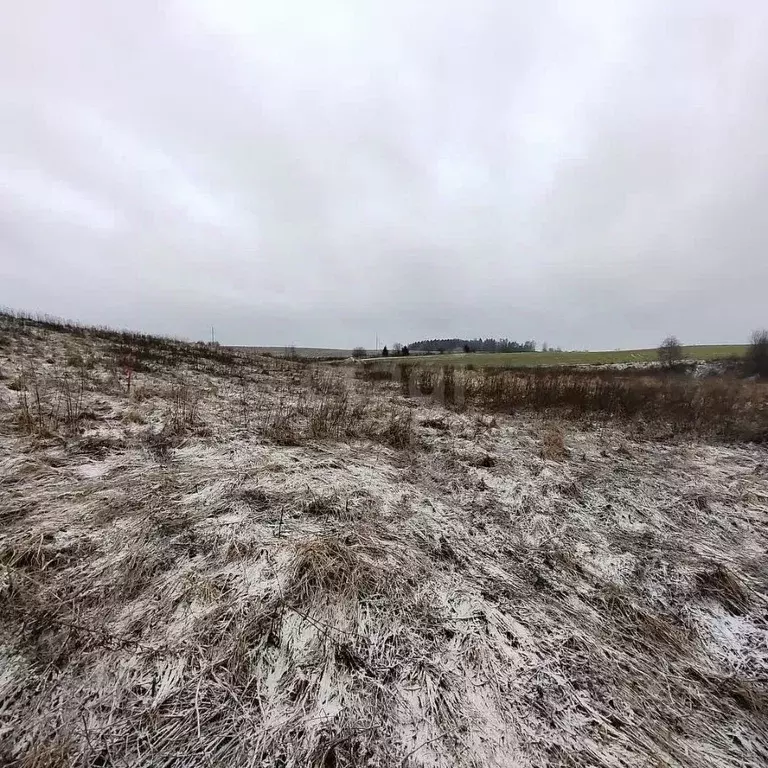 Участок в Вологодская область, пос. Ермаково  (2.2 сот.) - Фото 1