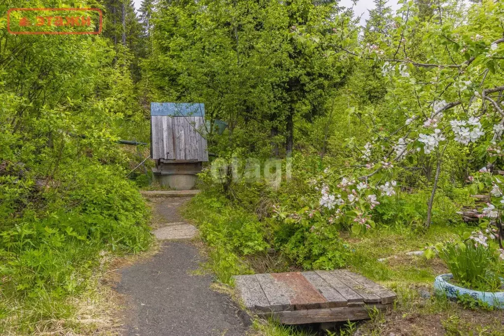 Участок в Карелия, Прионежский район, Деревянкское с/пос, Березка-2 ... - Фото 0