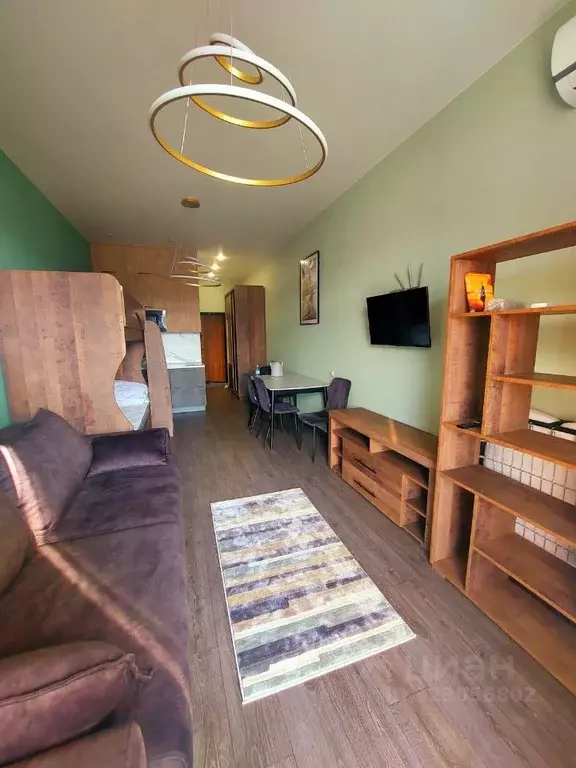 Студия Краснодарский край, Сочи городской округ, Дагомыс пгт ш. ... - Фото 2