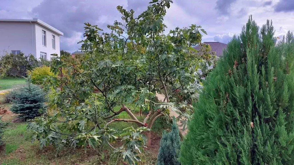 Участок в Севастополь ш. Крепостное, 23к3 (10.0 сот.) - Фото 1