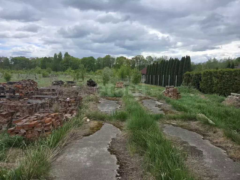 Участок в Калининградская область, Неманский муниципальный округ, пос. ... - Фото 1