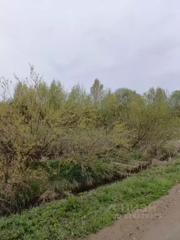 Участок в Московская область, Талдомский городской округ, д. ... - Фото 1
