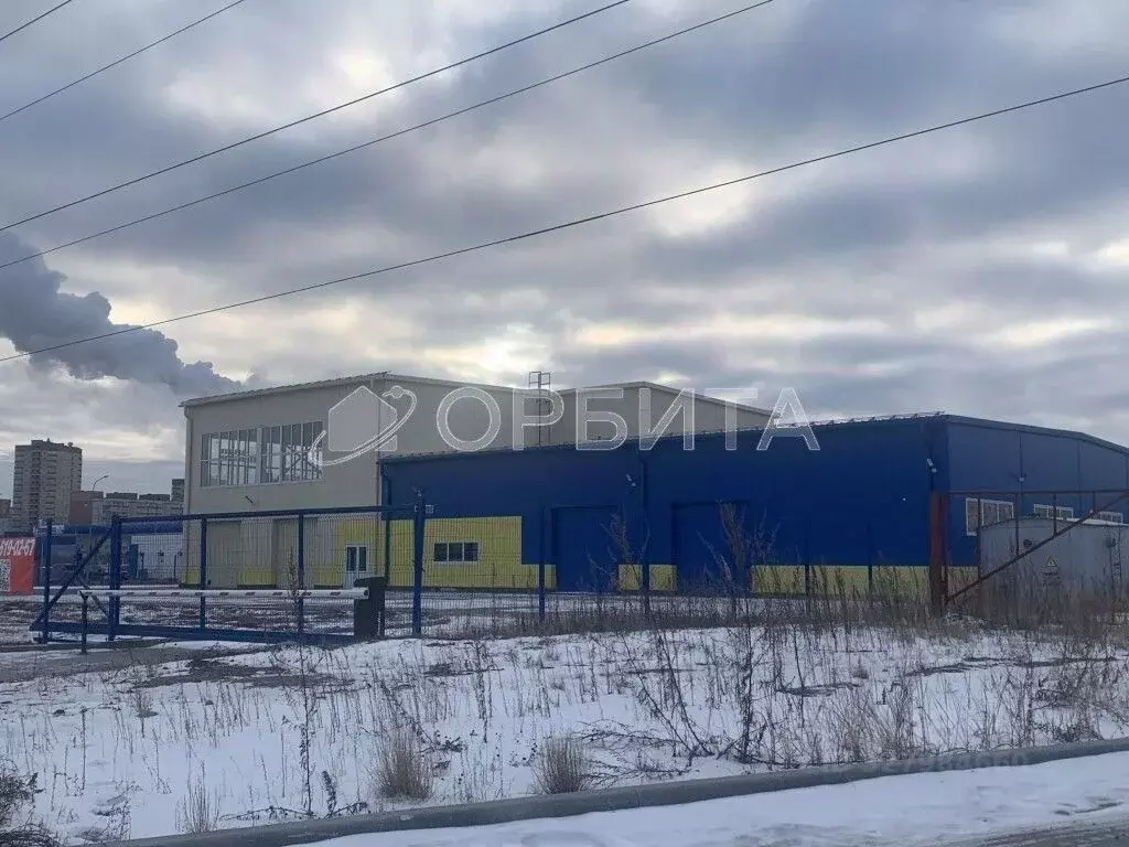 Торговая площадь в Тюменская область, Тюмень ул. Таллинская, 75А (1471 ... - Фото 1