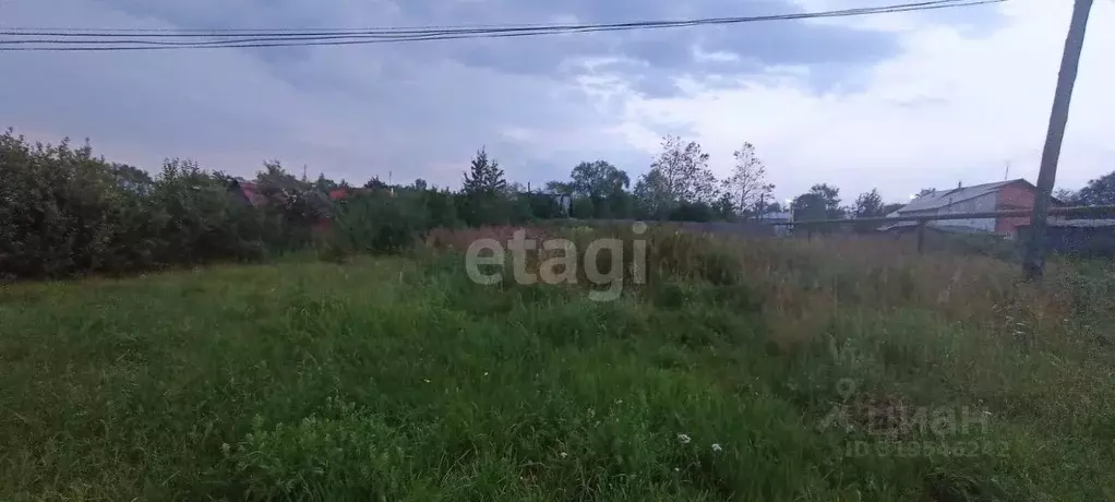 Участок в Владимирская область, Селивановский муниципальный округ, с. ... - Фото 1